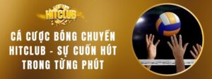 Cá Cược Bóng Chuyền HITCLUB